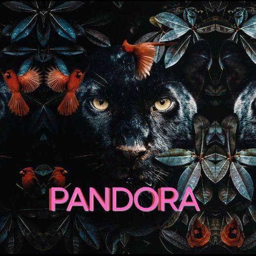 illustration for event: PANDORA body & sensuality festival 2026 ✨🐈‍⬛